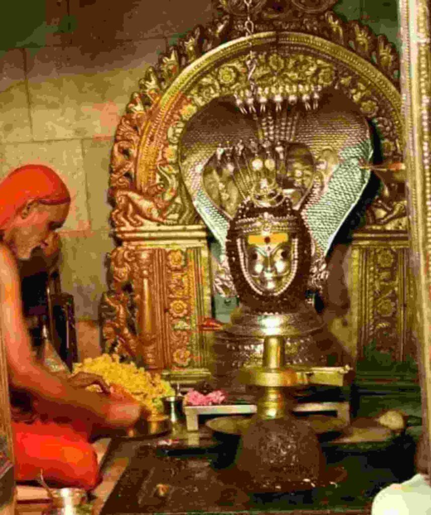 Lord Virupaksha, the Mula-murti (main deity), in the Sanctum