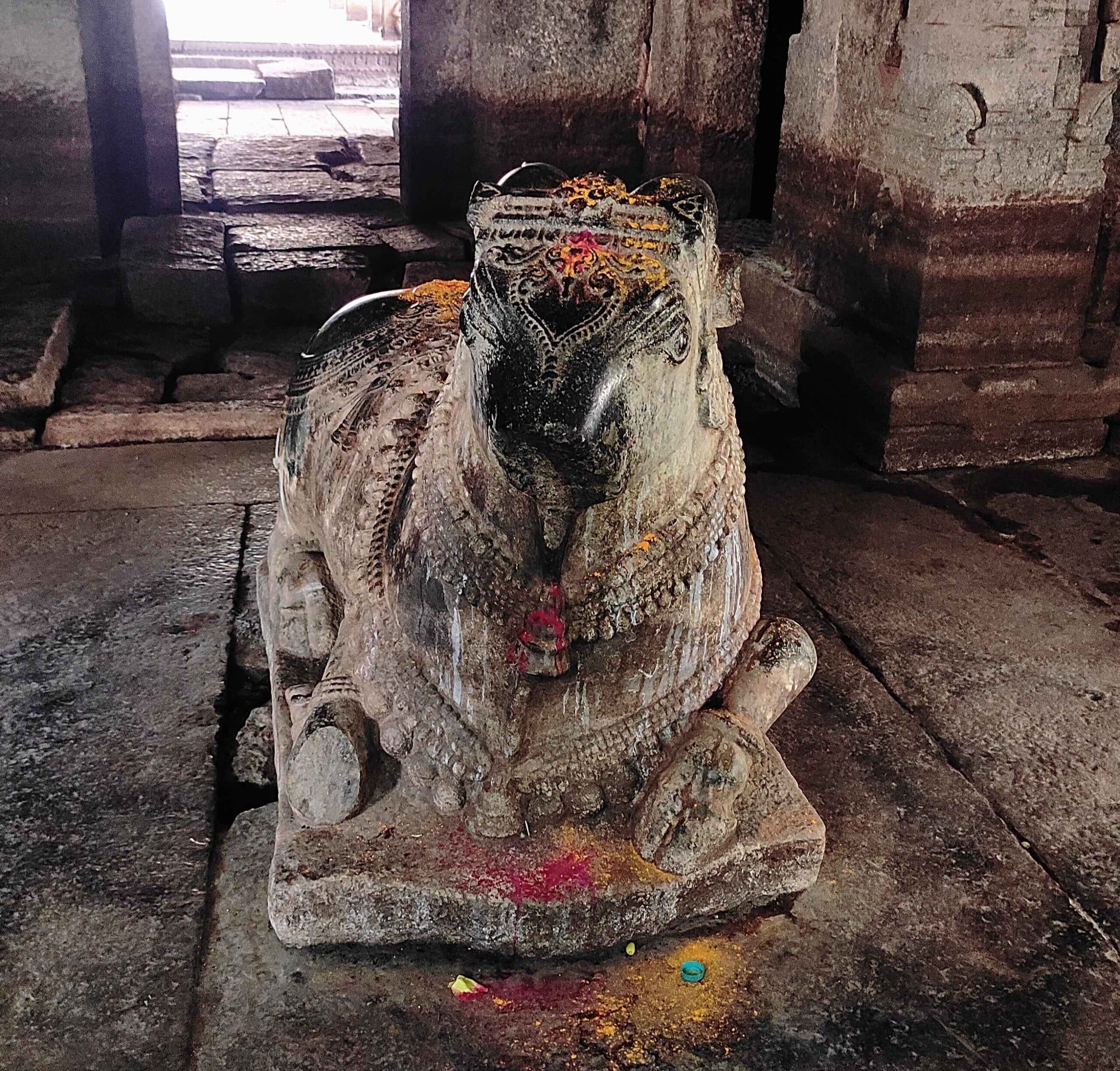 In the summer months, as the water dries up, Nandi sitting in front of the sanctum sanctorum becomes fully visible