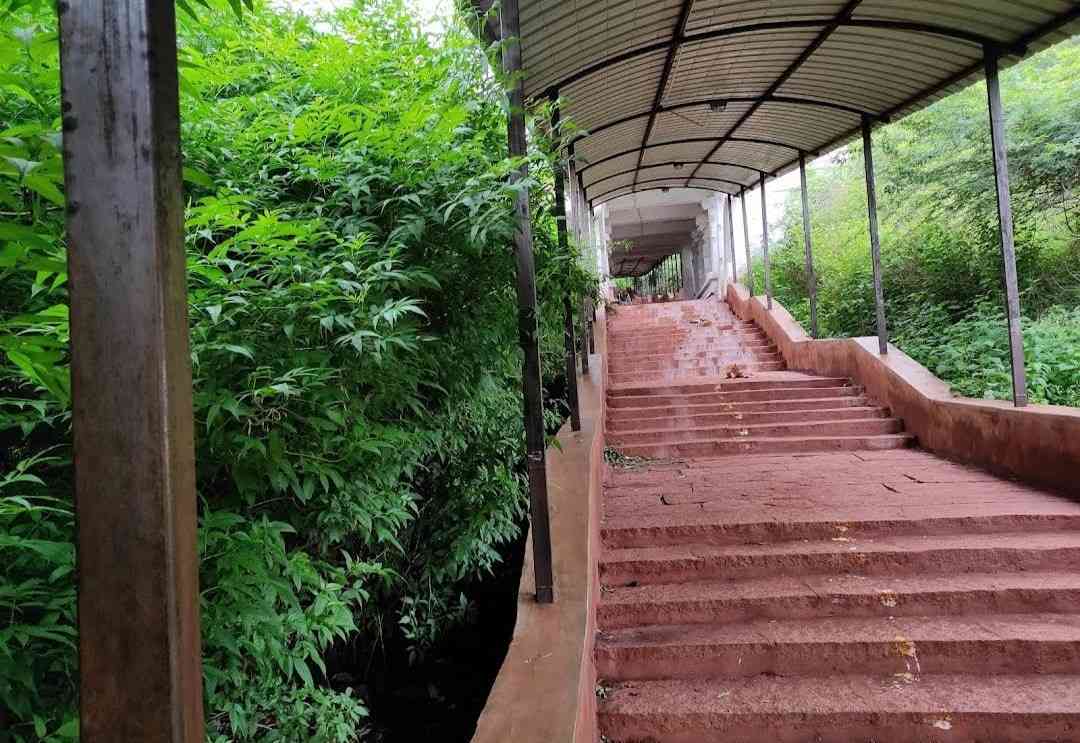 Staircase Path Surrounded by Green Trees