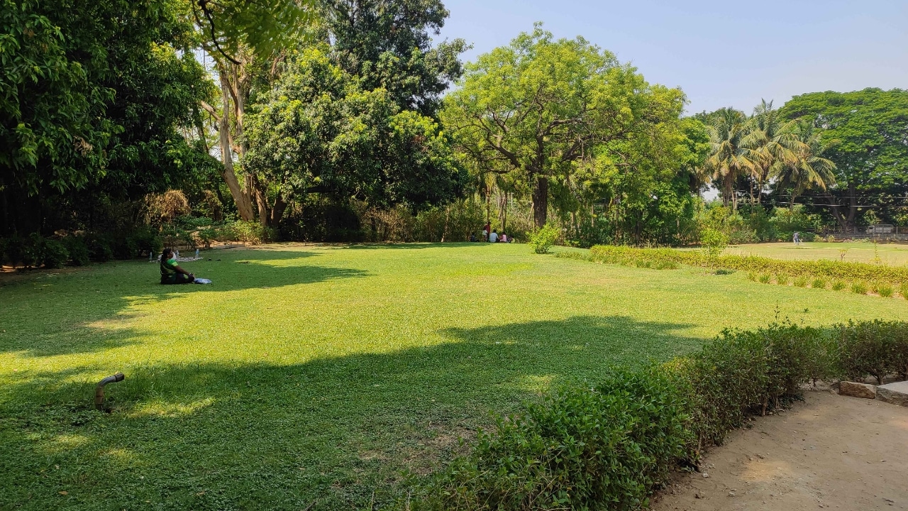 The lush green ground surrounding the Underground Shiva Temple