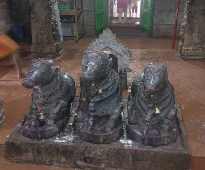 Three Nandi statues positioned opposite a Shivalinga, unlike most temples which have only one