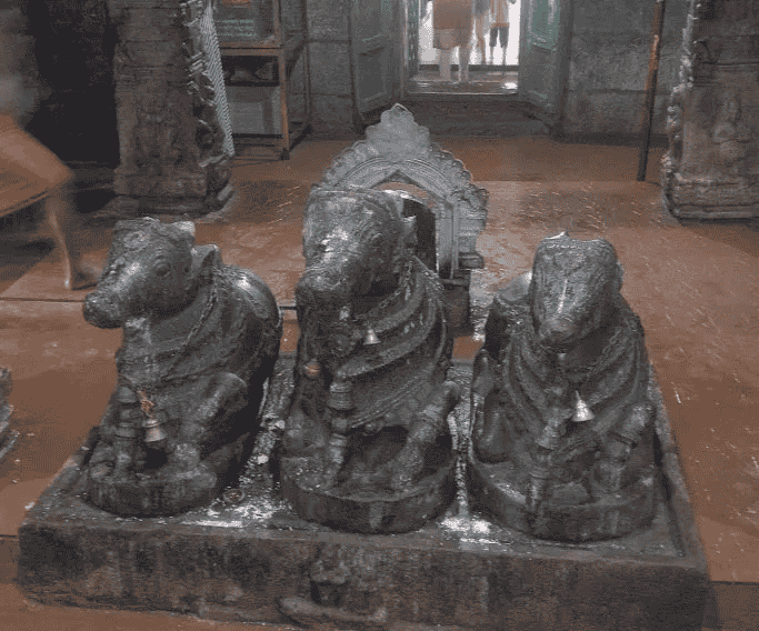 Unique sight: Three Nandi statues positioned opposite a Shivalinga, unlike most temples which have only one